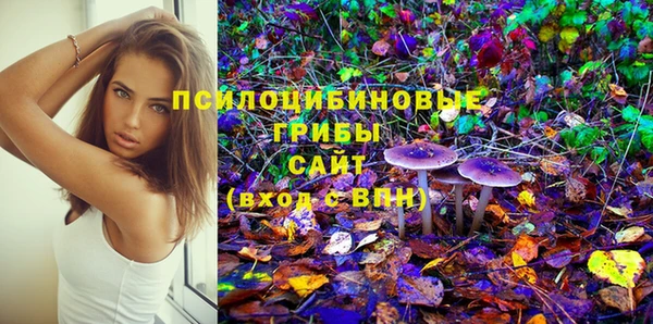 2c-b Абинск