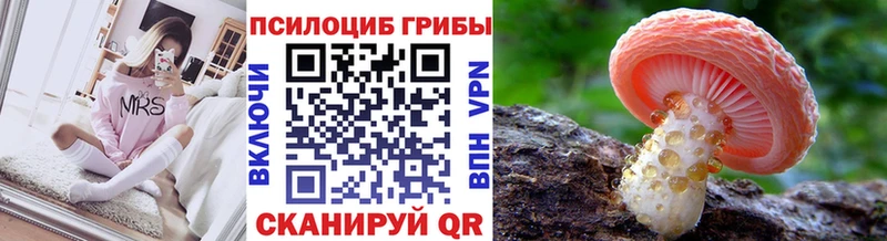 Галлюциногенные грибы Cubensis  где купить наркоту  Темников 